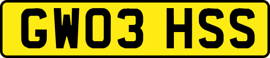 GW03HSS