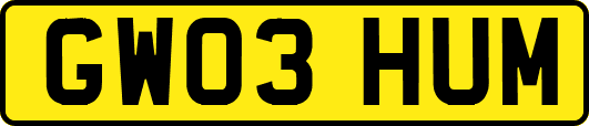 GW03HUM
