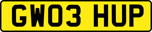 GW03HUP