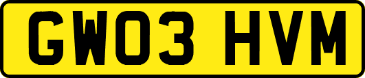 GW03HVM