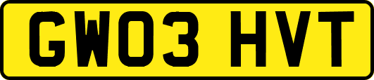 GW03HVT