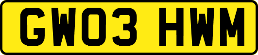 GW03HWM