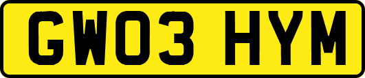 GW03HYM