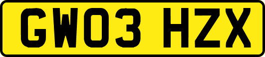 GW03HZX