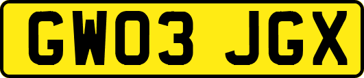 GW03JGX