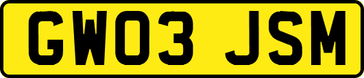 GW03JSM