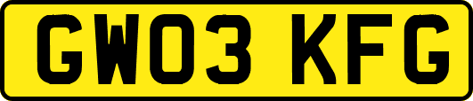 GW03KFG