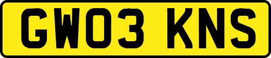 GW03KNS