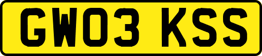 GW03KSS