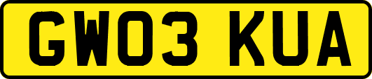GW03KUA