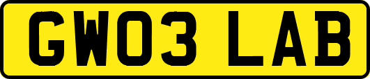 GW03LAB