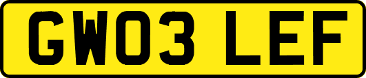 GW03LEF