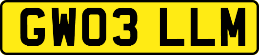 GW03LLM