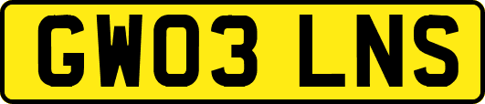 GW03LNS