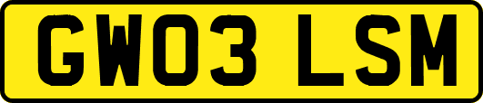 GW03LSM