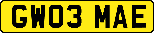 GW03MAE