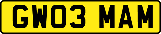 GW03MAM