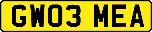 GW03MEA