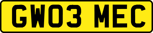 GW03MEC