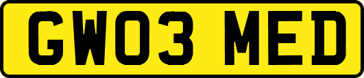 GW03MED