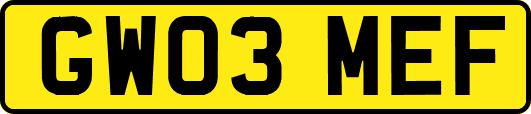 GW03MEF