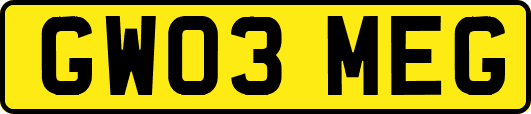 GW03MEG