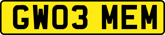 GW03MEM