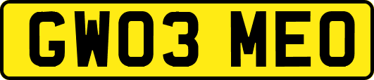 GW03MEO