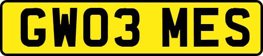 GW03MES