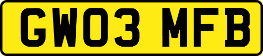 GW03MFB