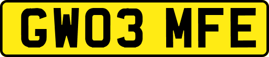 GW03MFE