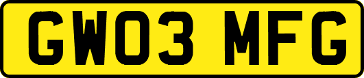 GW03MFG