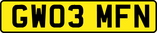 GW03MFN