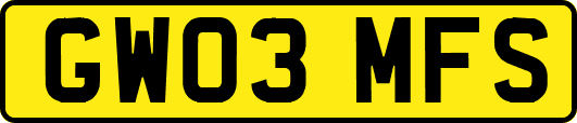 GW03MFS