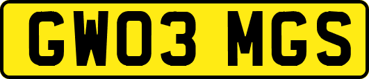 GW03MGS