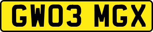 GW03MGX