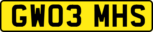 GW03MHS