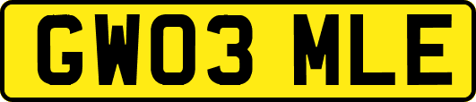 GW03MLE