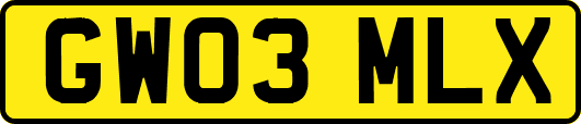 GW03MLX