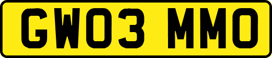 GW03MMO