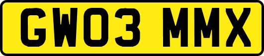 GW03MMX