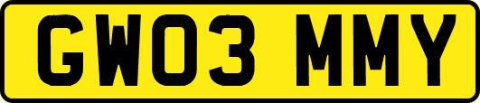 GW03MMY