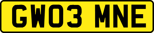 GW03MNE