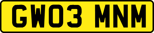 GW03MNM