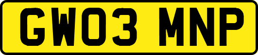 GW03MNP