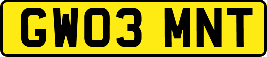 GW03MNT