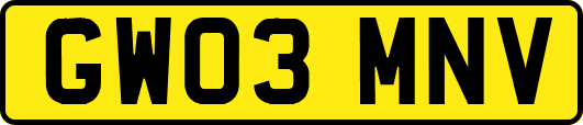 GW03MNV
