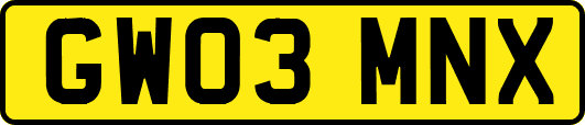GW03MNX