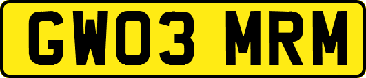 GW03MRM