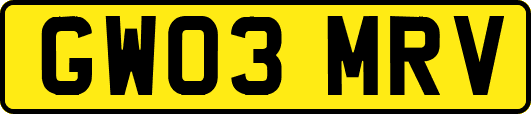 GW03MRV